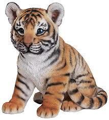 Baby Tiger
